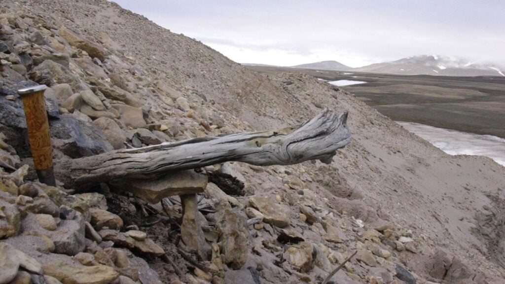 2-Million-Year-Old Site