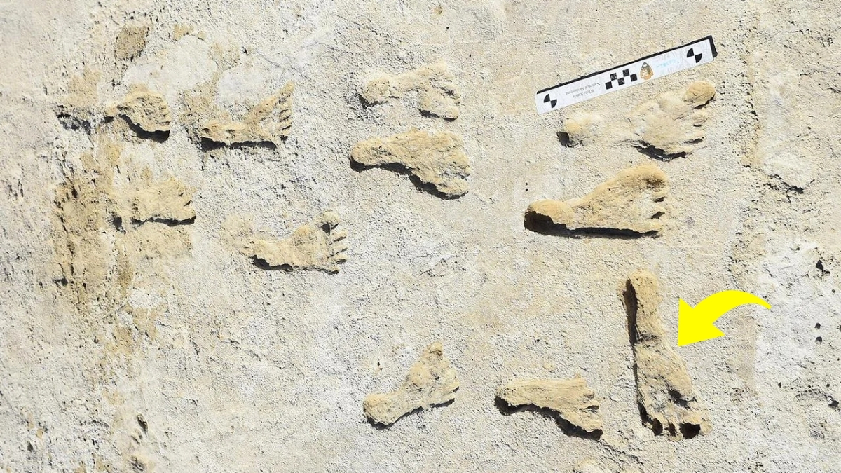 800000-year-old human footprints
