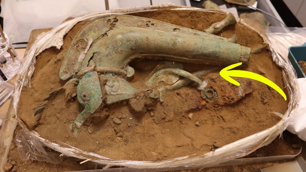 2000-Year-Old War Trumpet That Terrified Romans