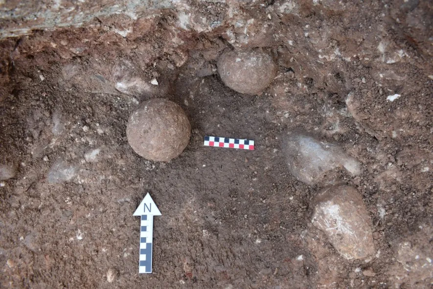 Landmark Discovery in Spain: 2,200-Year-Old Bone May Be From Hannibal’s War Elephant