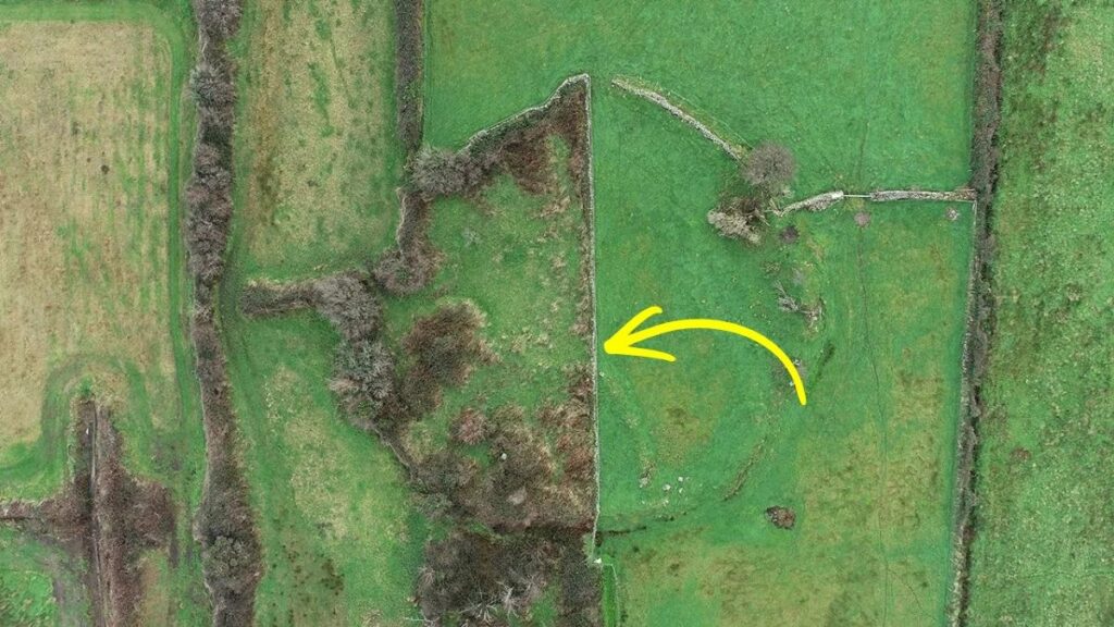 Ireland’s Forgotten Infant Burial Grounds Are Being Found Again