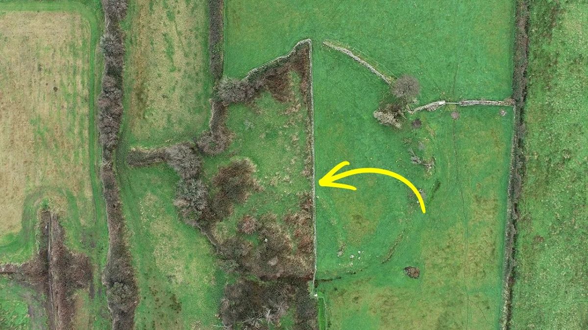 Ireland’s Forgotten Infant Burial Grounds Are Being Found Again