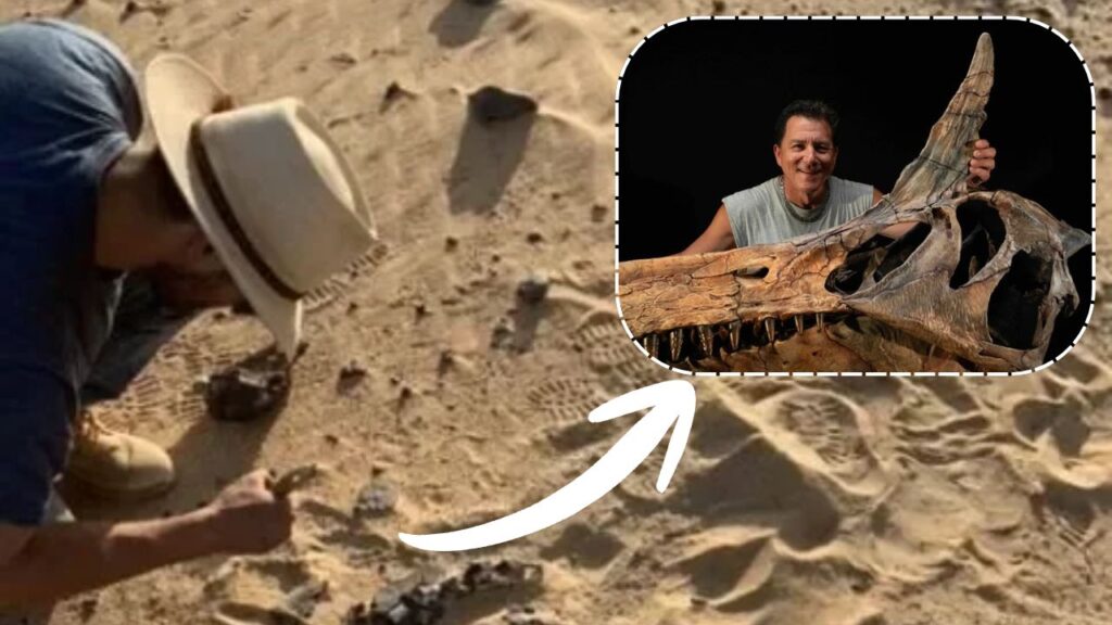 Meet Spinosaurus mirabilis