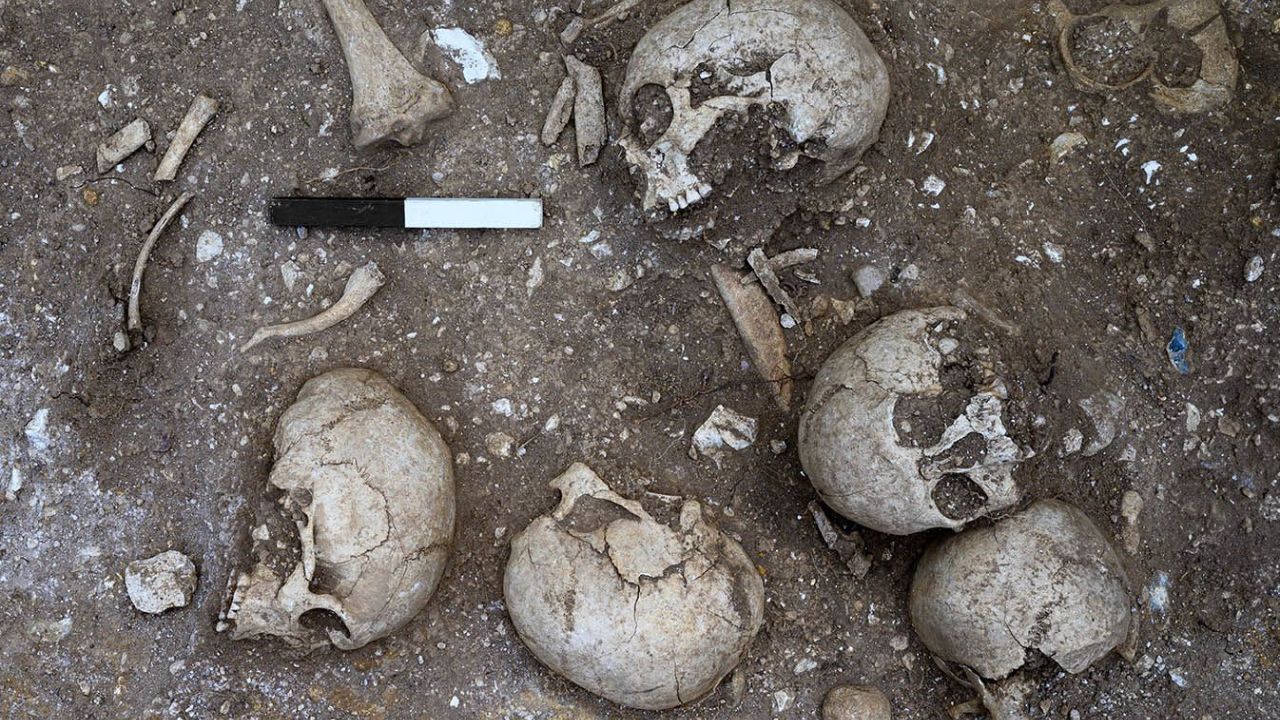 Viking or Saxon Mass Burial Pit Discovered