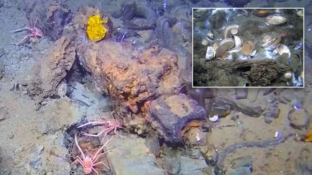 Strange objects 'unlike anything ever found' spotted lurking below North Sea by scientists
