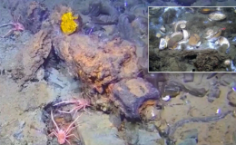 Strange objects 'unlike anything ever found' spotted lurking below North Sea by scientists