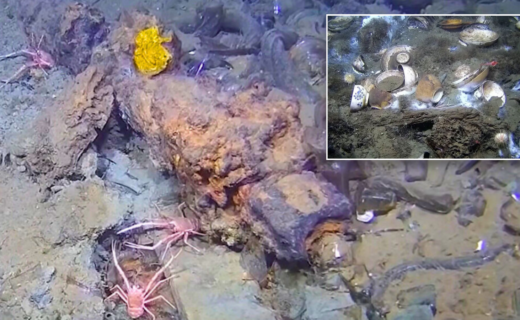 Strange objects 'unlike anything ever found' spotted lurking below North Sea by scientists