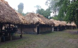 Archaeologists decipher name of Mayan astronomer for first time in history: 'Wonderful discovery!'