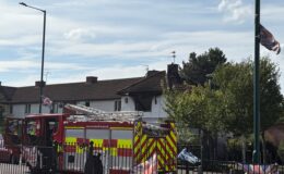 Police launch murder investigation after two people killed in house fire