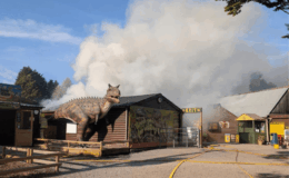 Animals killed and staff left devastated as fire rips through 'Britain's second-best zoo'