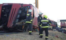 Twelve dead after tourist bus crashes into ditch and overturns in Hungary