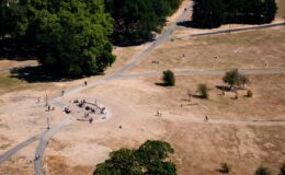 Britain put under four-day 'heat health alert' from tomorrow amid fears of deaths