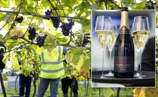 English sparkling wine could snatch fizz crown from France after 'extraordinary' year of hot weather