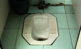 Labour council installs squat toilets 'preferred by foreign visitors' that locals must pay to use