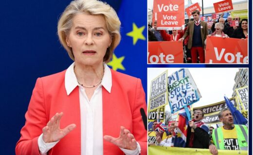 EU claims Brussels 'never intervenes in referendums' after being told to keep nose out of Iceland's 'Brexit-style' vote