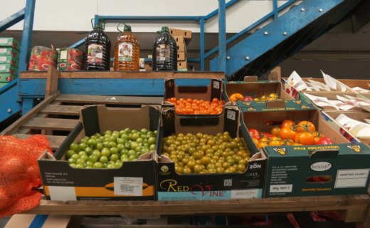 Scorching summer sparks harvest fears as Sussex fruit growers warn crops are 'cooking' on the trees