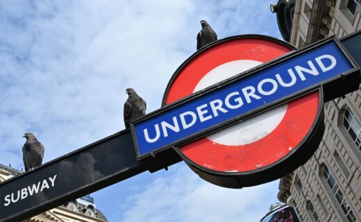 Sadiq Khan’s TfL blasted over ‘barbaric’ pigeon cull as 655 birds killed in tube clearout