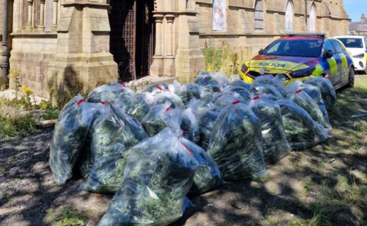Mega cannabis farm exposed by police at historic church as officers seize more than 1,500 plants