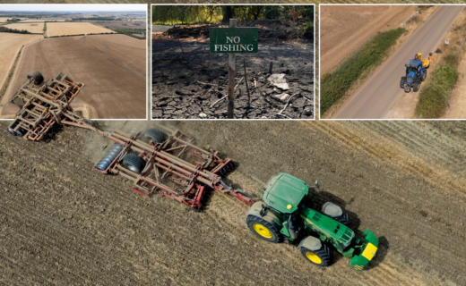 Britain facing 'worst food security crisis in decades' as UK on track for hottest summer ever on record