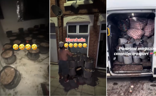 Albanian crime gangs caught offering 'one-stop shop' to set up cannabis farms in Britons' homes