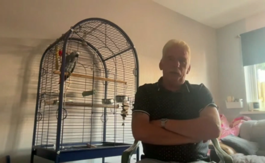 WATCH: Pet parrot returns to his owner NINE years after being stolen