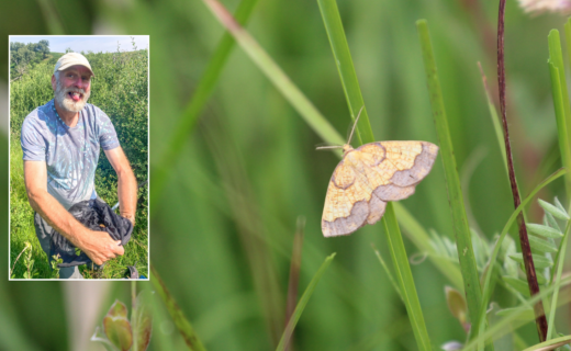 Briton discovers 'hidden species' in unexpected location after spending his life hunting it down