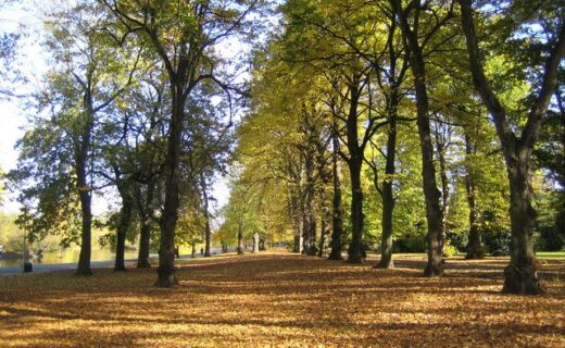 Two Afghans 'pinned woman down then raped her at knifepoint in London park', court hears