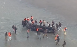 Lawless small boat migrants pelt French police with rocks while they slash their dinghy