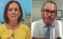 Top Tory blasted by Camilla Tominey for 'wasting time' attacking Reform instead of Labour: 'What are you playing at?!'