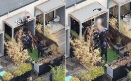 Watch the moment police arrest man asleep on roof after two-day stand off