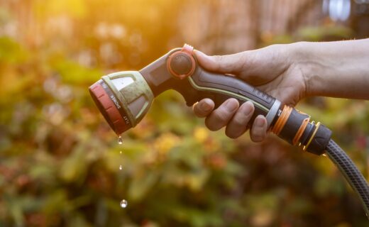 Wessex Water imposes hosepipe ban on nearly 3 million Britons for first time in 50 years