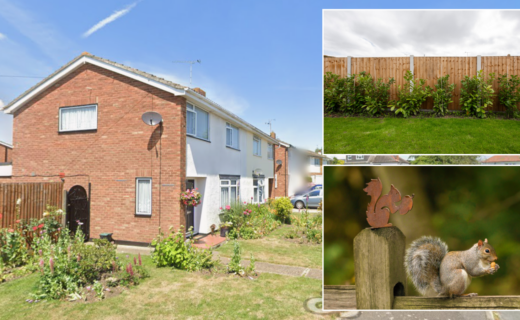 Neighbour row erupts as couple rack up £150,000 legal bill over garden ornament
