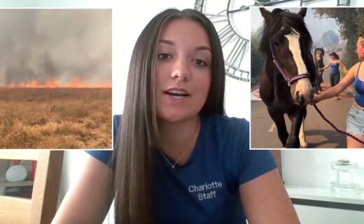Heroic women risk their lives to rescue horses from burning land during Stourbridge wildfire: 'The field was gone in seconds'