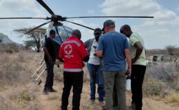 Tourists dead after helicopter crashes shortly after takeoff from Kenyan wildlife reserve