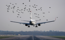 African stowaway found frozen to death in plane's wheel compartment at Gatwick Airport
