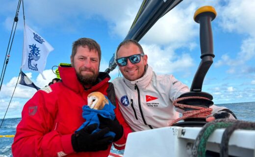 Soldiers rescue barn owl 70 miles off coast while taking part in 2,000-mile race