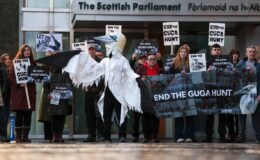Centuries-old British tradition banned by SNP after violent 'animal rights' uproar