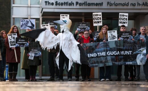 Centuries-old British tradition banned by SNP after violent 'animal rights' uproar