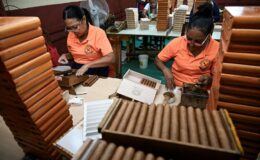 Andy Burnham embroiled in row with Cuba as 'smoke-free Britain' plans put cigar trade at risk