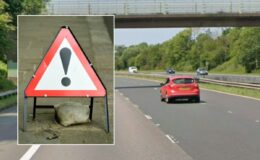 M67 traffic: Drivers face road chaos as police-led incident will close motorway for 'majority of the day'