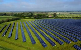 EXPOSED: Britain's best farmland destroyed under Net Zero madness as enough food to feed 200,000 vanishes