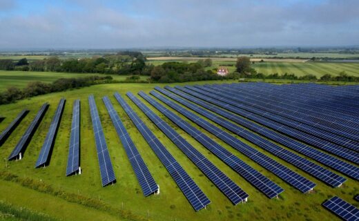EXPOSED: Britain's best farmland destroyed under Net Zero madness as enough food to feed 200,000 vanishes