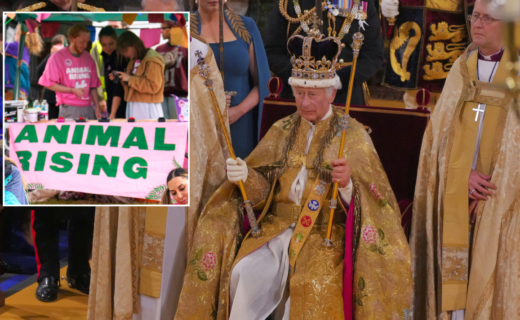 Animal rights campaigners take legal action against Met Police over 'wrongful' Coronation Day arrests