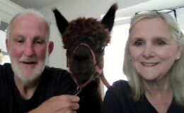 Cancer-surviving veteran embarks on 900-mile Scottish trek for charity alongside his two pet Alpacas