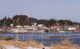 Four killed after plane plunges into water off Alaska coast
