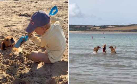 James Middleton shares rare glimpse of son Inigo enjoying the seaside with beloved dogs
