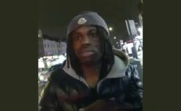 Police offer £20,000 reward in Primrose Hill stabbing manhunt as suspect told 'do the right thing'