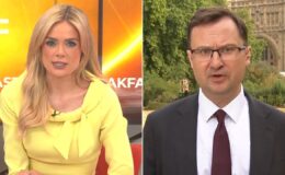 Labour minister skewered after telling GB News early release reforms are as 'far as they can go': 'The safety of Britons comes first!'