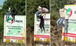 Illegal migrants spotted running off into Essex countryside after sneaking into lorry from Spain
