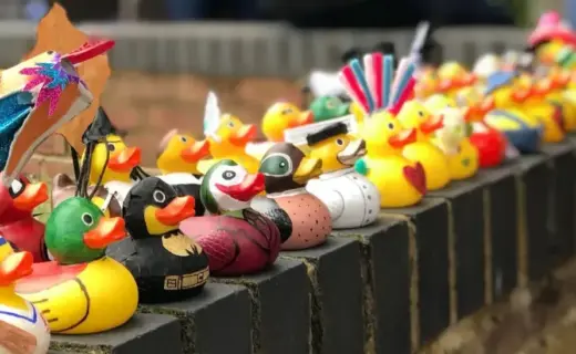 Rubber duck race held for almost two decades CANCELLED in devastating blow